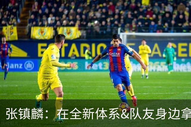 张镇麟：在全新体系&队友身边拿下总冠军 是对我最大的认可